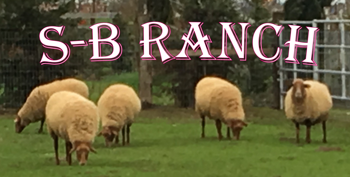 S-B Ranch Banner